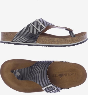 HAFLINGER Sandals & High-Heeled Sandals in 38 in Grey: front