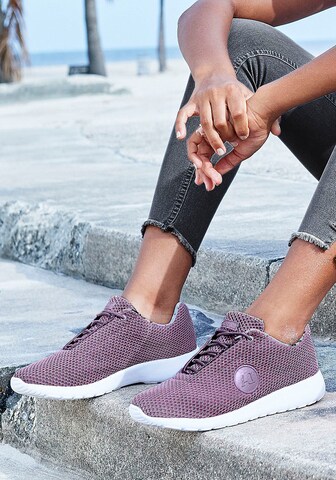 LASCANA Sneaker in Lila