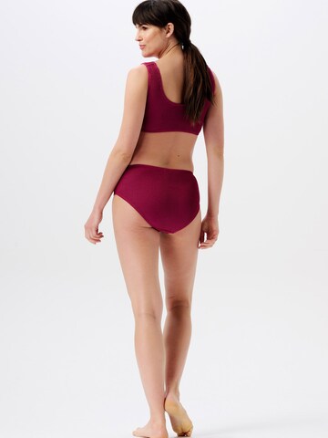 Esprit Maternity - Clásico Bikini en lila