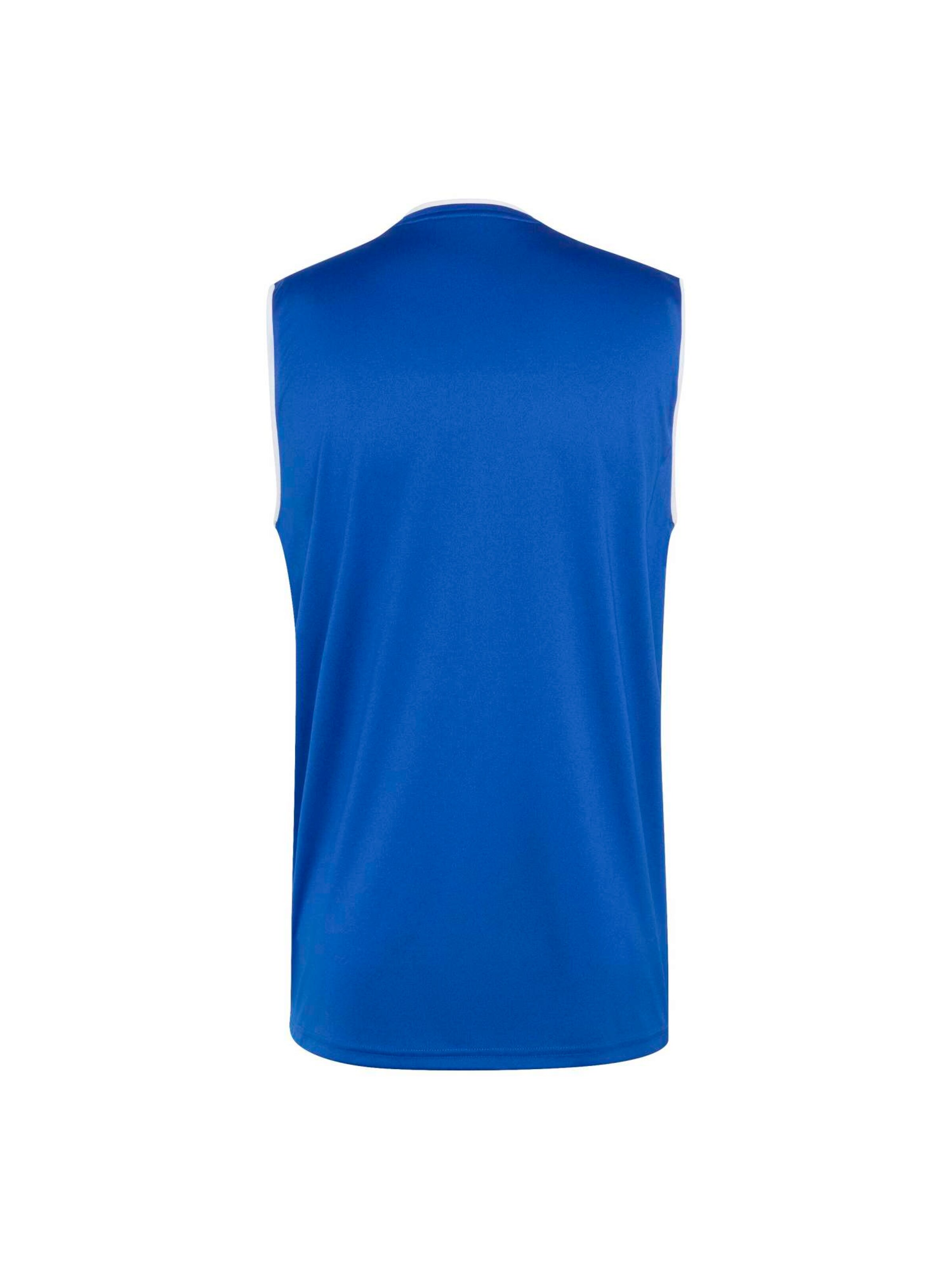 ADIDAS PERFORMANCE Functioneel shirt 'ENT26' in Blauw