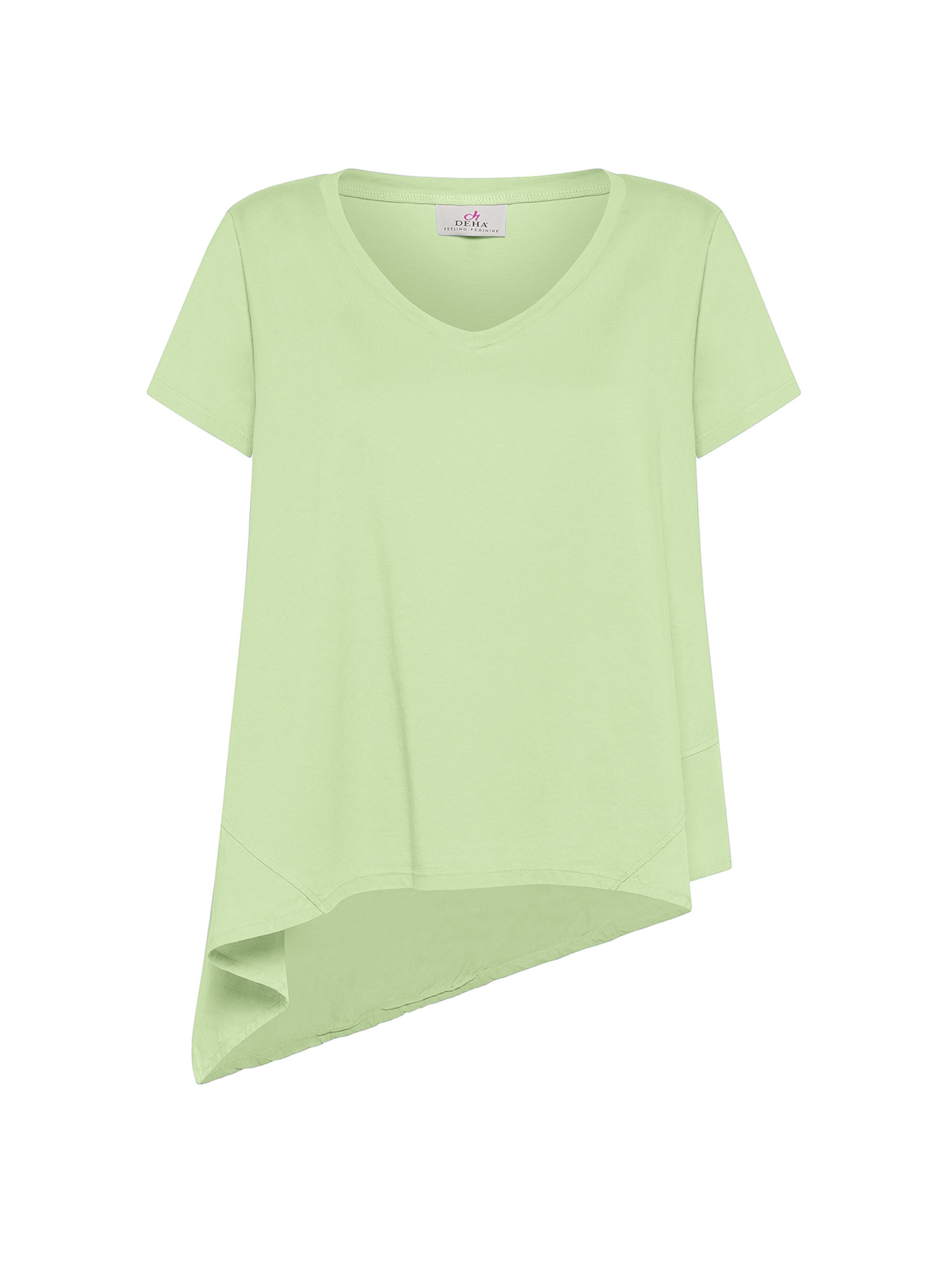 DEHA Shirt in Groen: voorkant