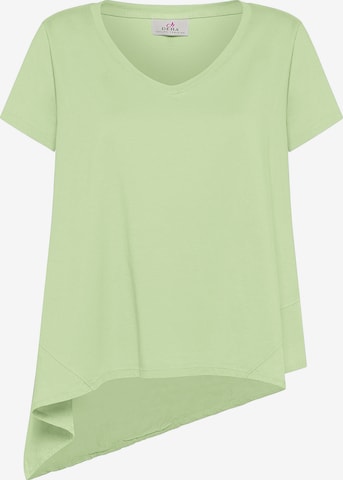 DEHA Shirt in Groen: voorkant