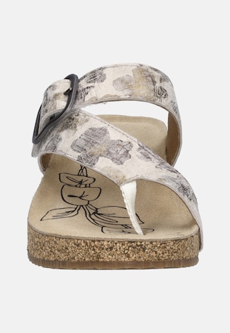 JOSEF SEIBEL Teenslipper 'Tonga 77' in Beige