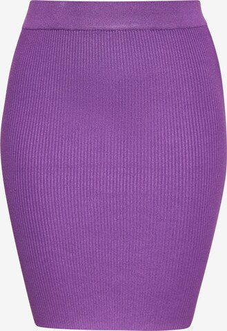 myMo at night Skirt in Purple: front