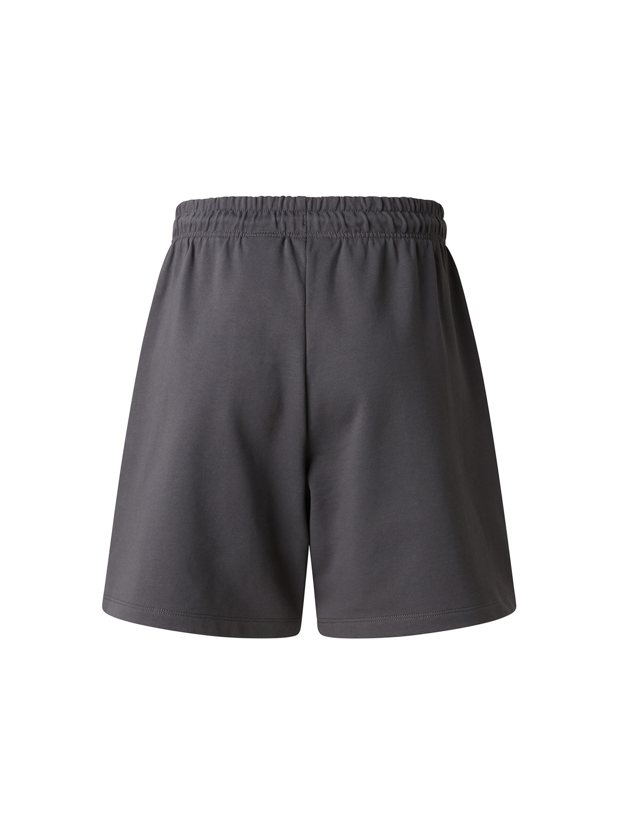 THE NORTH FACE Loosefit Nadrág 'Essential' - szürke