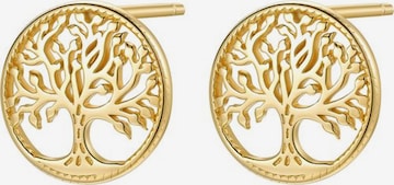 Boucles d'oreilles 'Life Roots' Hey Happiness en or : devant