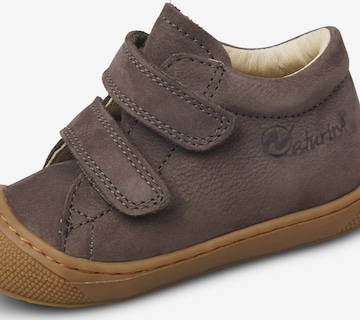 NATURINO Sneakers 'COCOON VL' in Grey: front