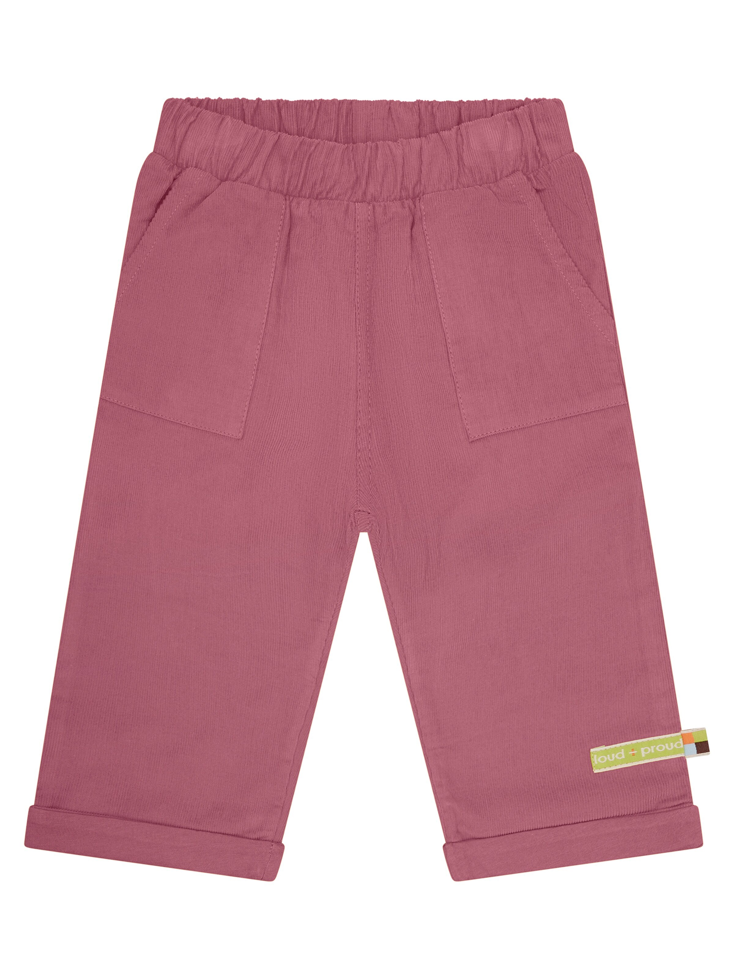 loud + proud Pants in Purple: front