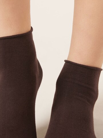 CALZEDONIA Socken in Braun