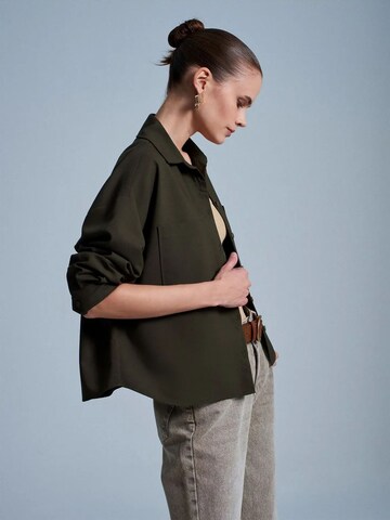 Dilvin Shirt in Green