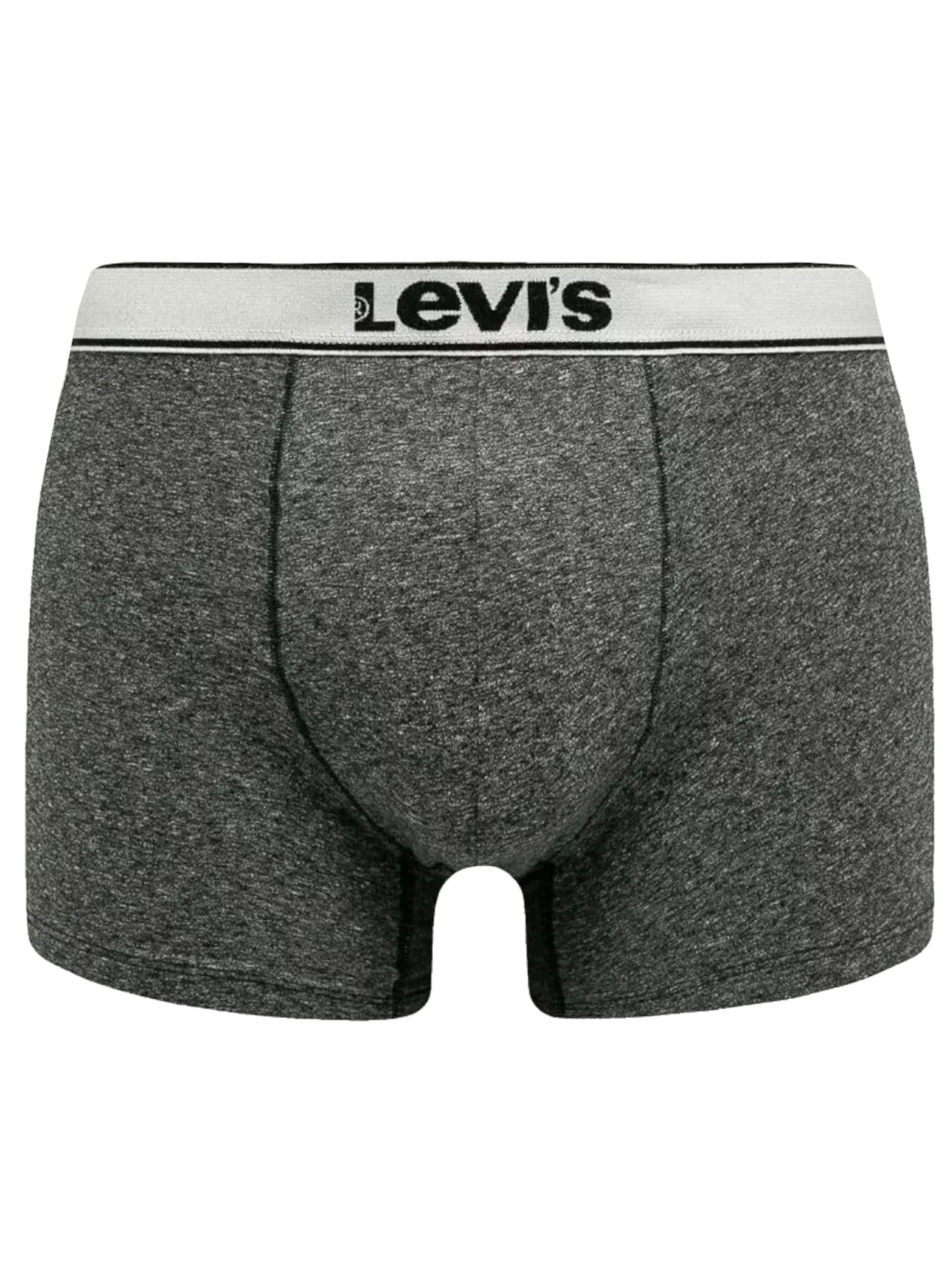 LEVI'S ® Boxer shorts 'Levi's Boxer 2 Pairs Briefs' in Grey: front