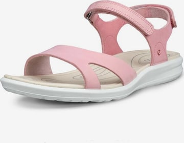 ECCO Trekkingsandale in Pink: Vorderseite
