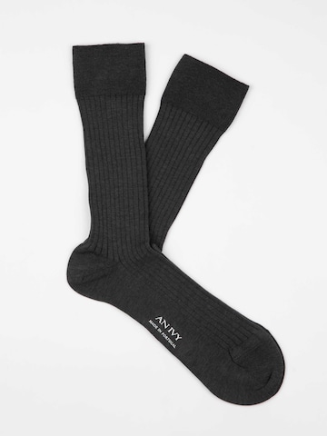 AN IVY Sokker i grå: forside