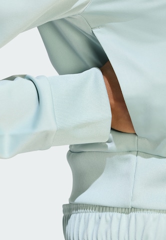 ADIDAS SPORTSWEAR Trainingsanzug in Grün