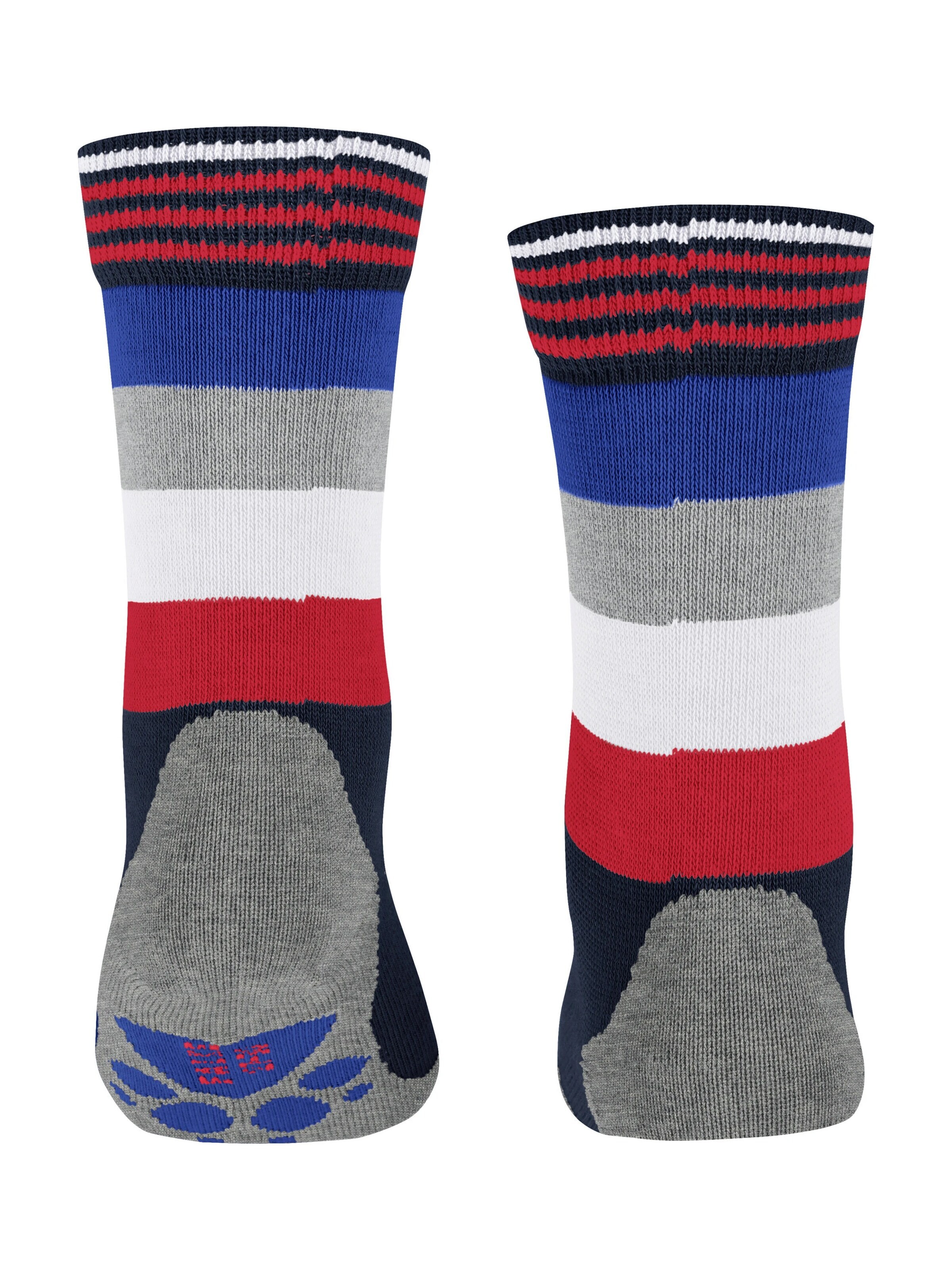 FALKE Socks 'Active Fox' in Blue