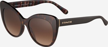 Lunettes de soleil '0HC8317' COACH en marron : devant