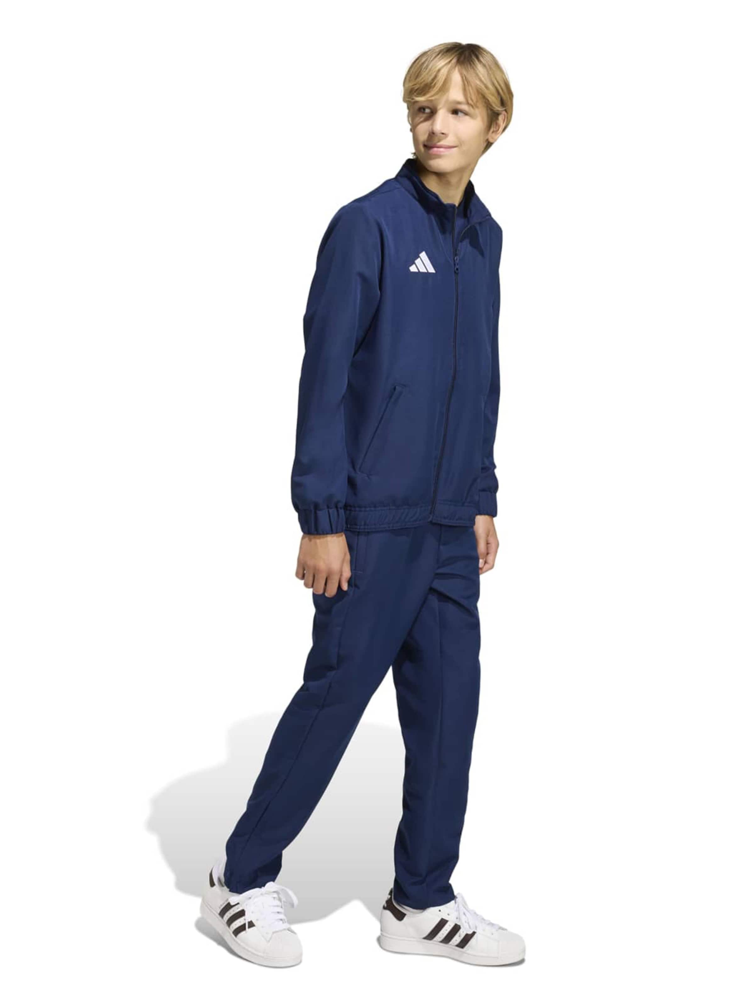 ADIDAS PERFORMANCE Обычный Спортивные штаны 'ENT26' в Синий