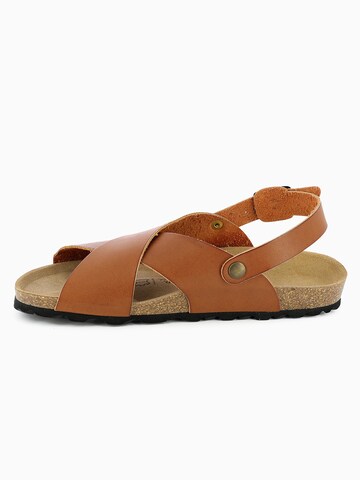 Bayton Sandals in Brown