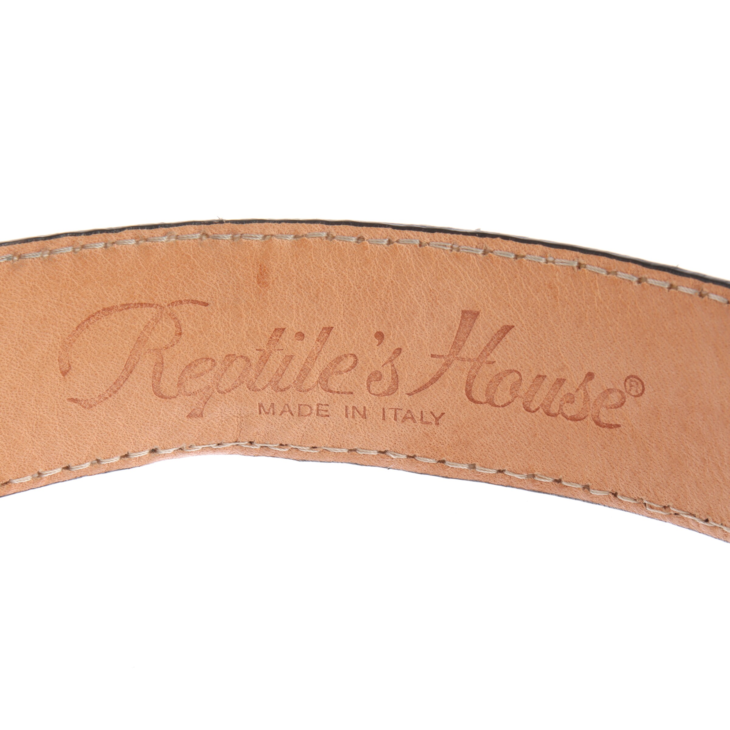 Reptile's House Belt in L in Silver