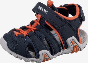GEOX Sandals & Slippers 'Kraze' in Blue: front