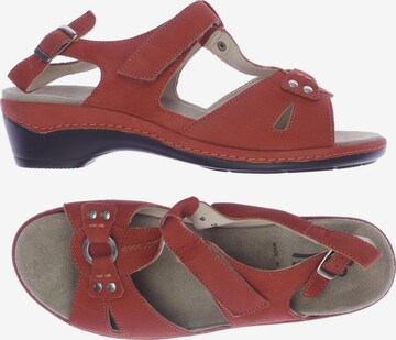 SEMLER Sandals & High-Heeled Sandals in 41 in Red: front