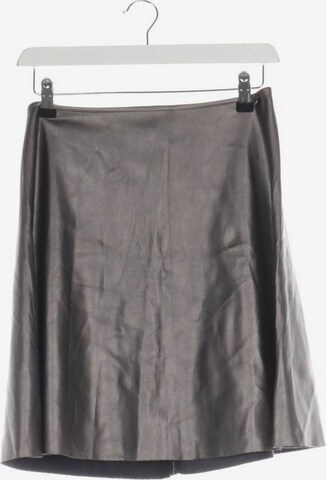 Rich & Royal Skirt in S in Silver: front