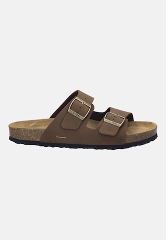JOSEF SEIBEL Sandal 'JOSEF 01' in Brown