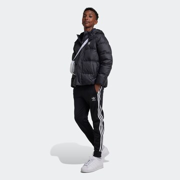 ADIDAS ORIGINALS Winter Jacket 'Adicolor' in Black