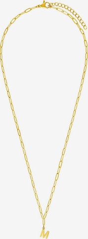 Lucardi Necklace in Gold: front