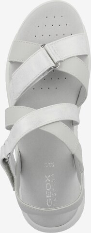 GEOX Sandals 'Dandra' in White