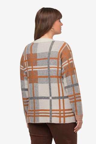 Ulla Popken Sweater in Brown