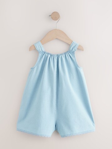 Next - Mono en azul