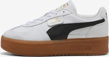 Baskets basses 'Palermo Elevata' PUMA en blanc : devant
