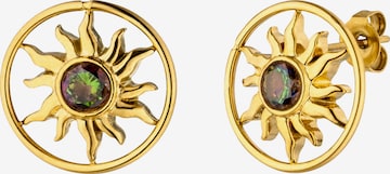 PURELEI - Brincos 'Luana Coin' em ouro: frente