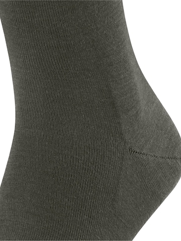 FALKE Socks in Green