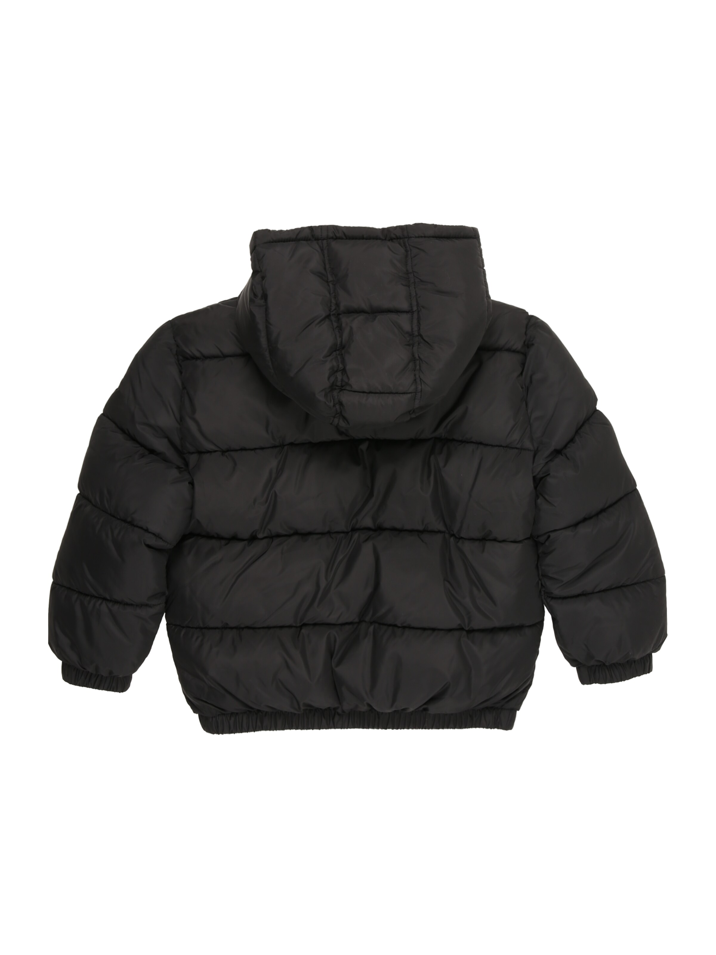 UNITED COLORS OF BENETTON Зимняя куртка в Черный