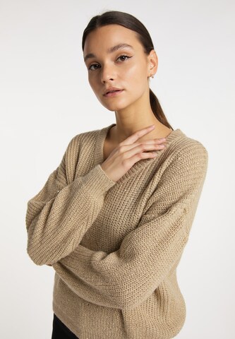 usha BLACK LABEL Pullover in Beige