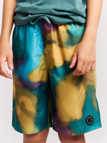 PROTEST Badeshorts 'PRTEmil JR'‌ in Grün