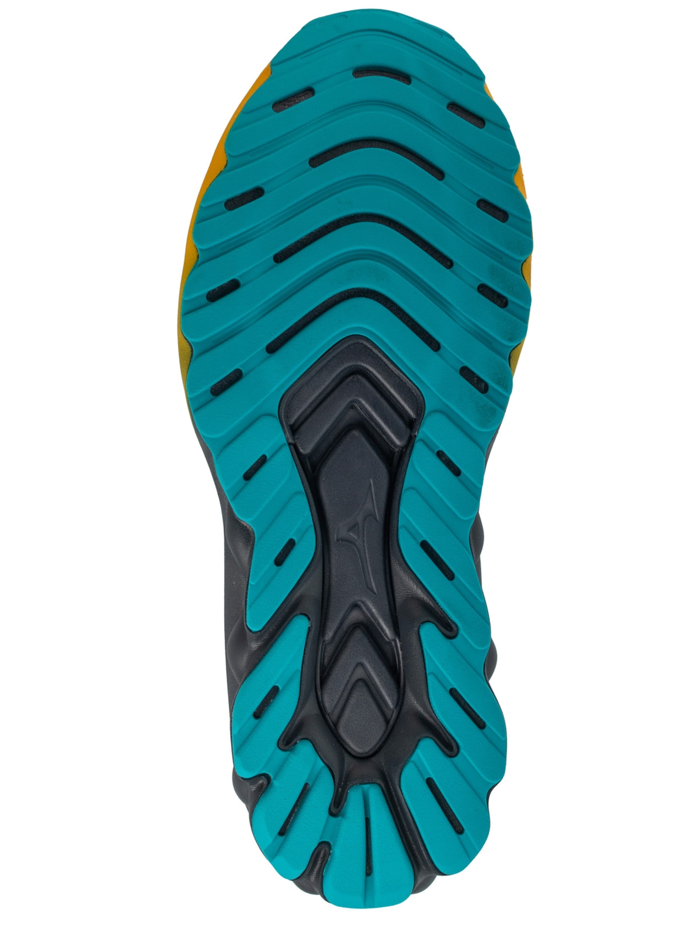 MIZUNO Laufschuh 'Mizuno Wave Skyrise 6'‌ in Grau