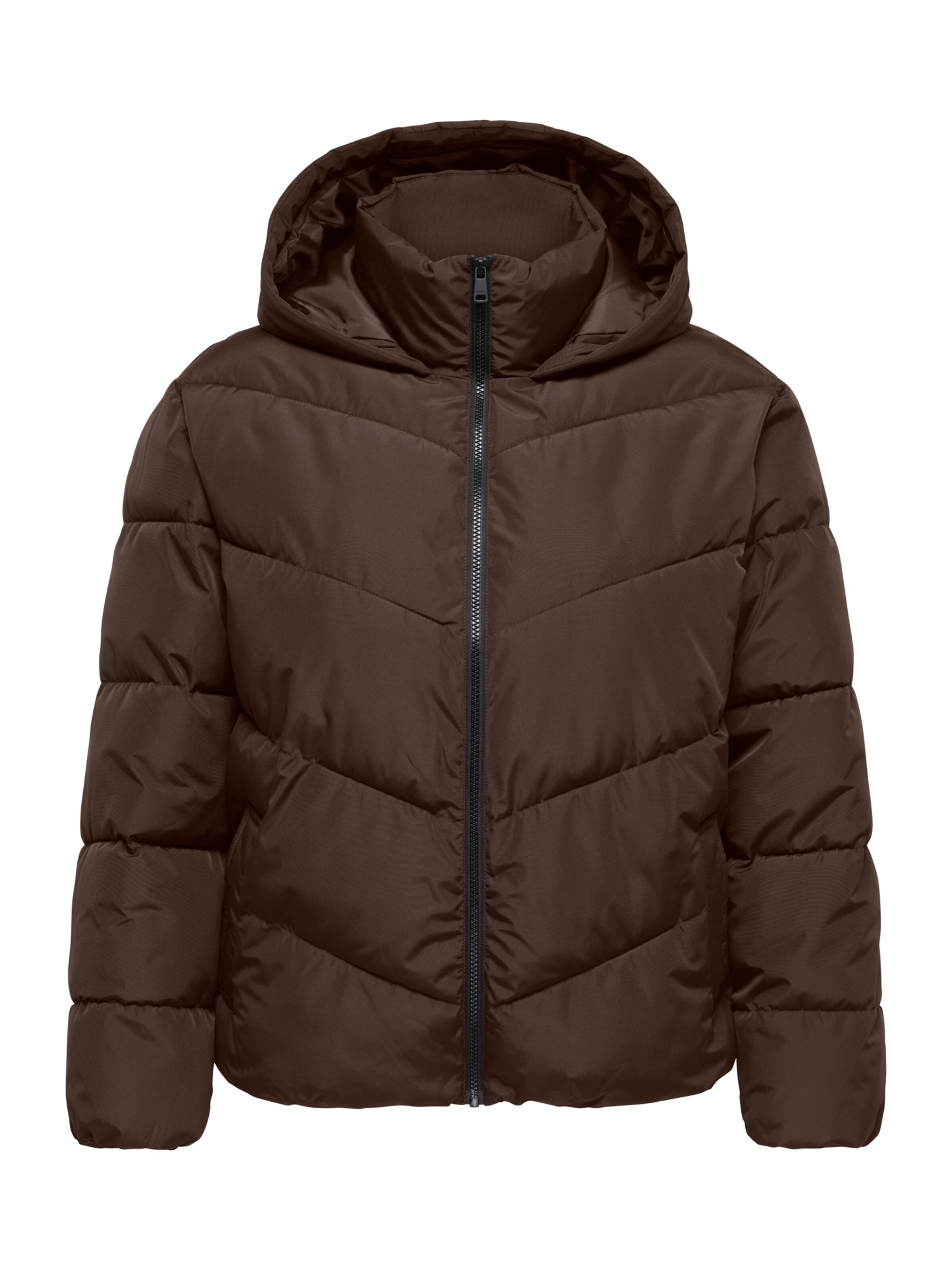 Veste mi-saison 'CARCLAIR' ONLY Carmakoma en marron : devant