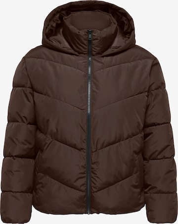 Veste mi-saison 'CARCLAIR' ONLY Carmakoma en marron : devant