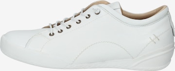 Baskets basses HUSH PUPPIES en blanc