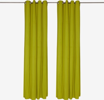 TOM TAILOR Curtains & Drapes in Green: front