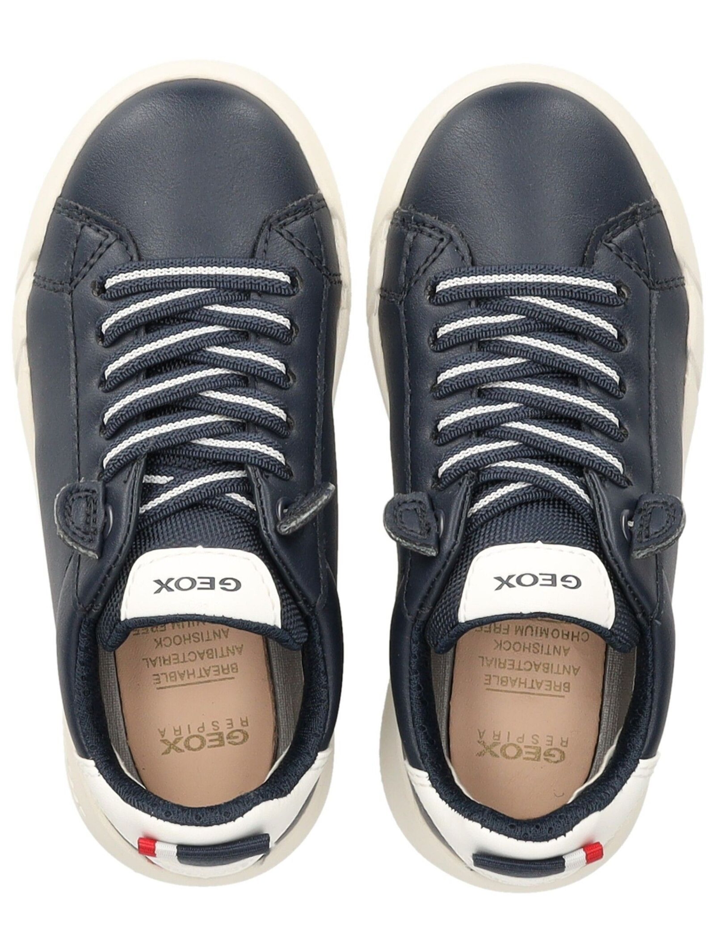 GEOX Sneaker in Blau