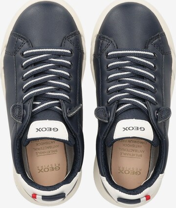 GEOX Sneakers in Blue