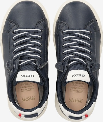 GEOX Sneakers in Blauw