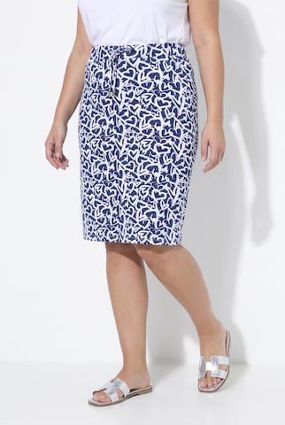 Angel of Style Rok in Blauw: voorkant