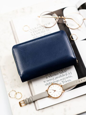 Tomshop24-7 Wallet 'Peterson RFID' in Blue