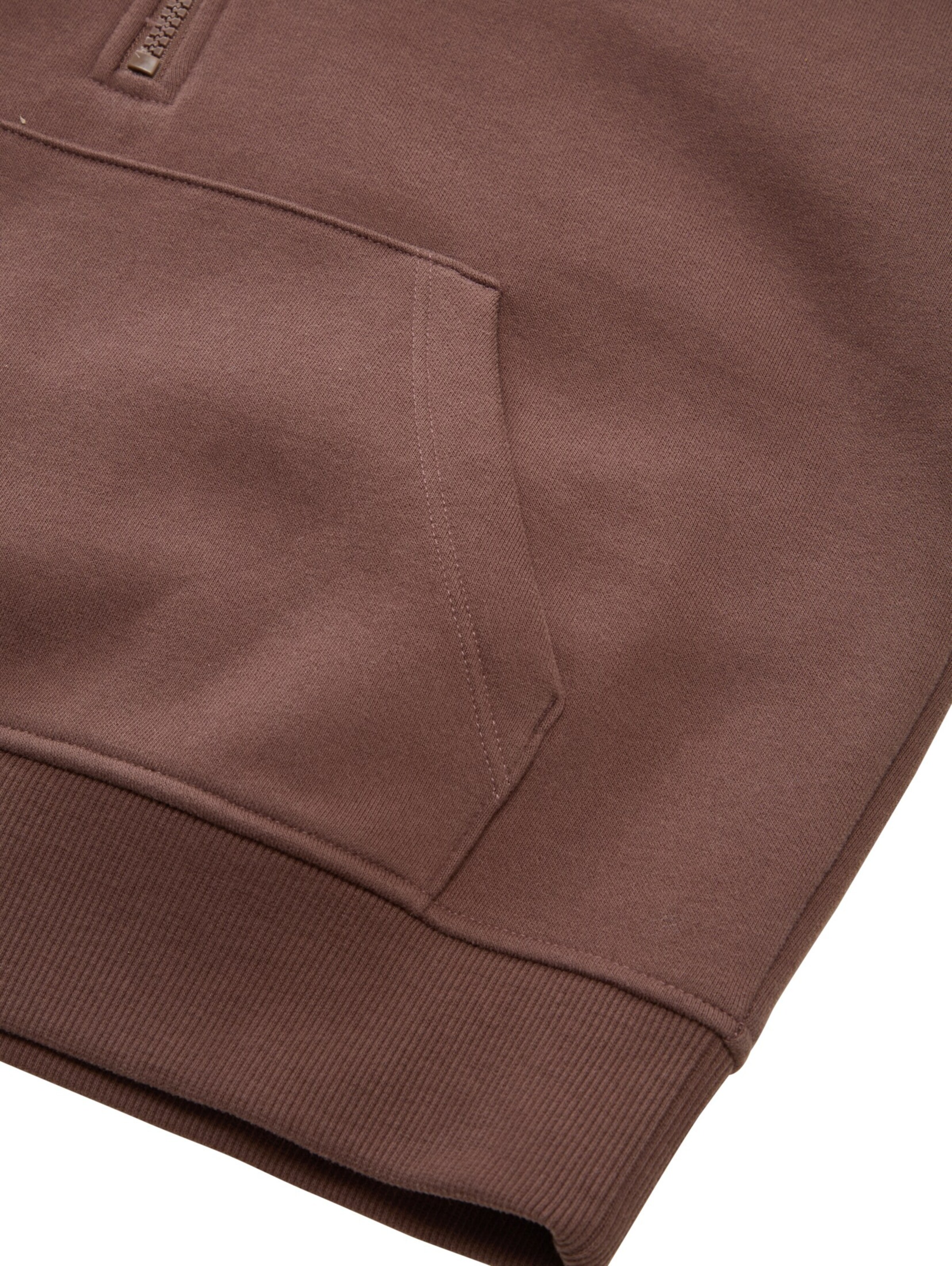 TOM TAILOR Sweatshirt in Brown