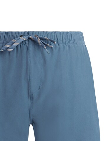 PROTEST Badeshorts 'PRTIgapo' in Blau